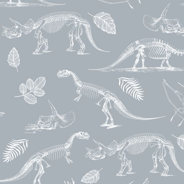 Fossils in Cloud