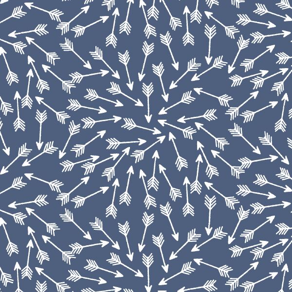 Arrows in Midnight