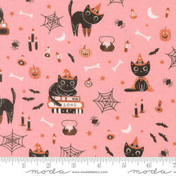 Cats in Candy
