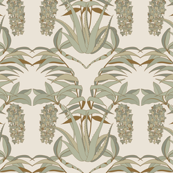 Acacias in Cream