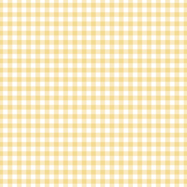 Summer Gingham in Afternoon Sunshine