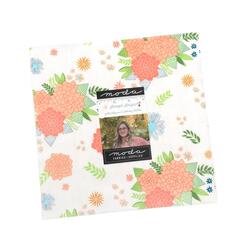 Honeyed Horizon 10" Square Pack