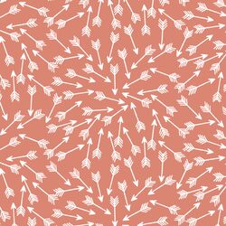 Arrows in Desert Rose