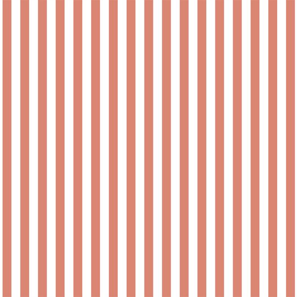 Dress Stripe in Desert Rose