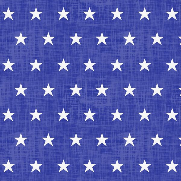 Large Star Spangled in Blue Jeans