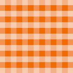 Spring Gingham in Poppy