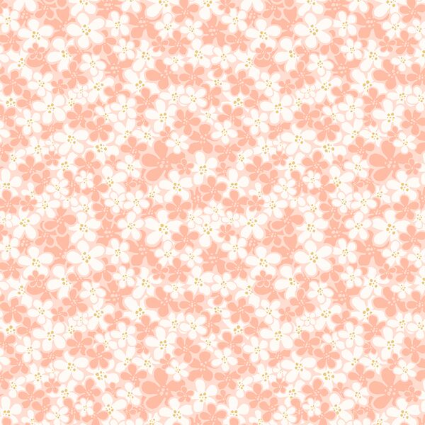 Sakura Blossoms in Sunrise