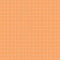 Painted Check in Apricot