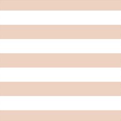 Horizontal Play Stripe in Shell