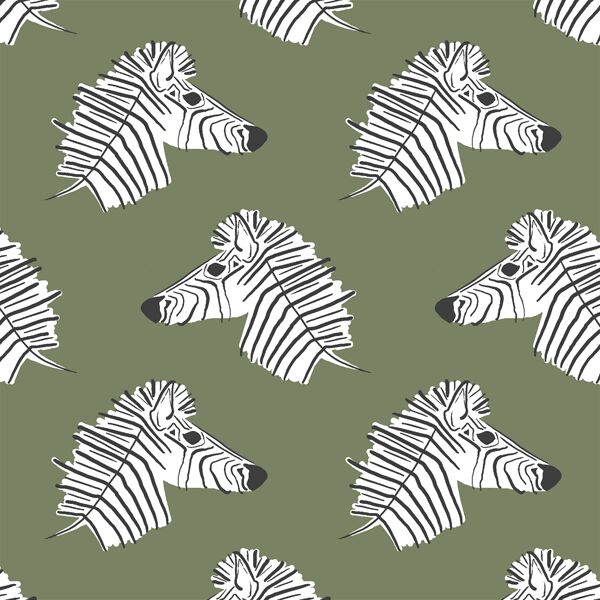 Burchell Zebra in Olive