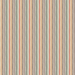 Little Stripe in Dreaming