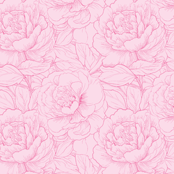 Peony Sketch in Camellia Pink