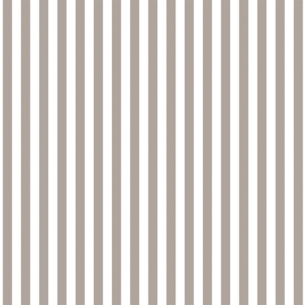 Dress Stripe in Taupe