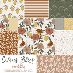 Citrus Bliss Fat Quarter Bundle