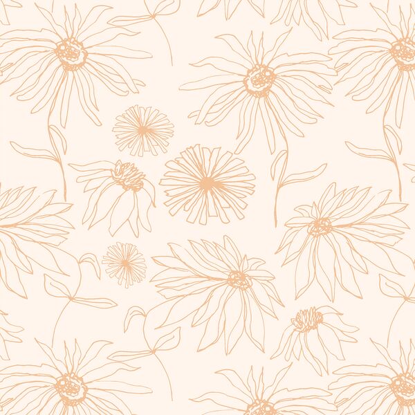 Aster Sketch in Bloom on Cloud