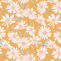 Daisy Fields in Golden Glow