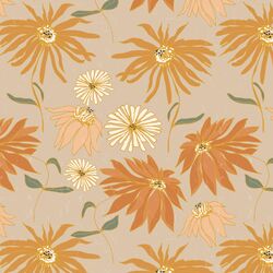 Aster in Sable
