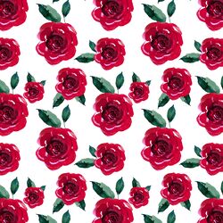 Little Blooming Roses in Winter
