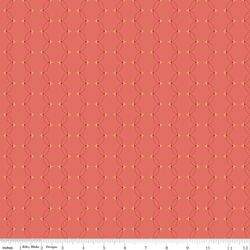 Scallops in Coral