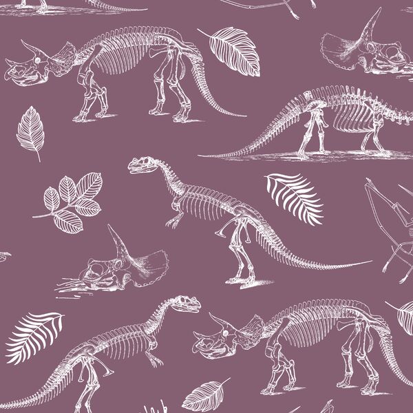 Fossils in Mulberry