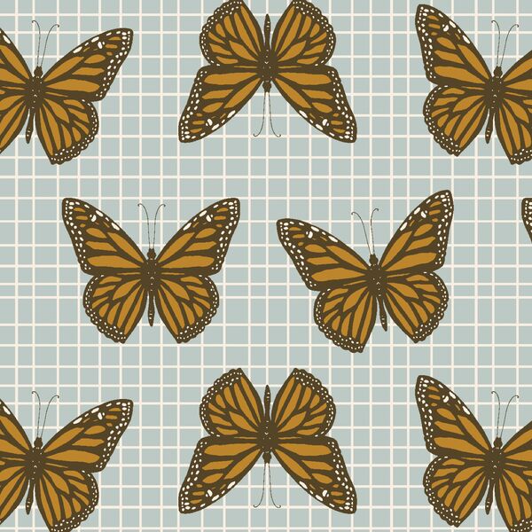 Big Catching Butterflies in Blue