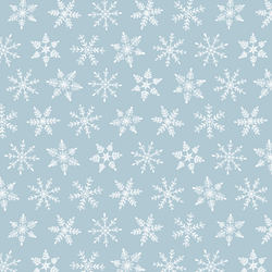 Snowfall in Snow on Frost