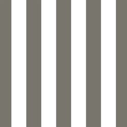 Play Stripe in Greige