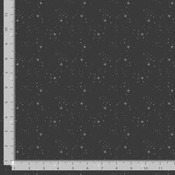Kitty Litter Blender in Graphite