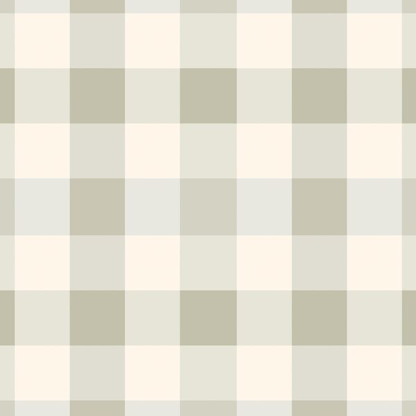 Large Gingham in Summer Sage