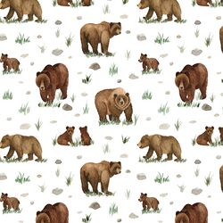 Grizzly Bears in White