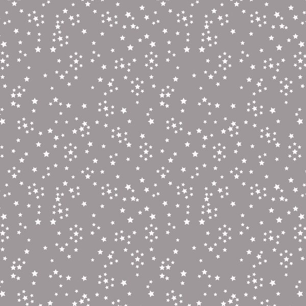 Starry in Silver Moon