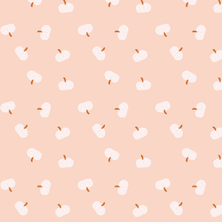 Mini Pumpkins in Shell Pink
