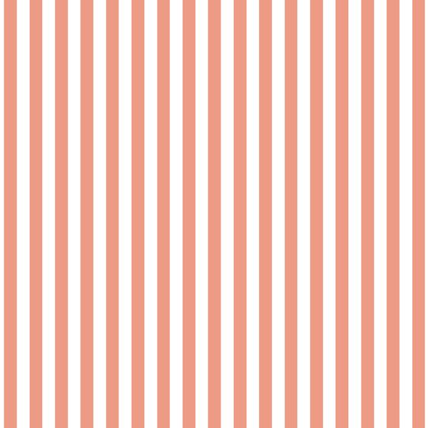 Dress Stripe in Grapefruit