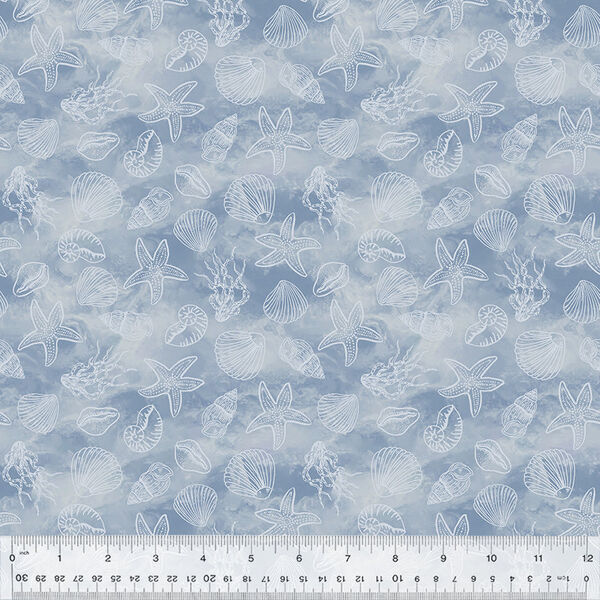Shell Collection in Wave