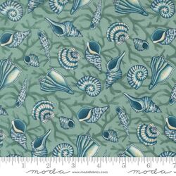 Tossed Seashells in Aqua