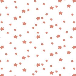 Star Light in Desert Rose on White