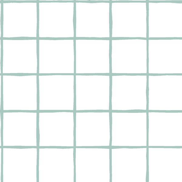 Windowpane in Aspen on White