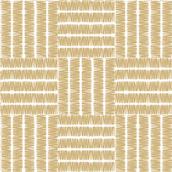 Basketweave in Golden Canyon