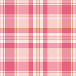 Lovely Plaid in Rosy
