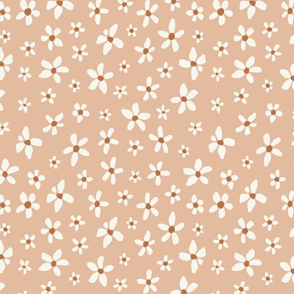 Daisies in Blossom