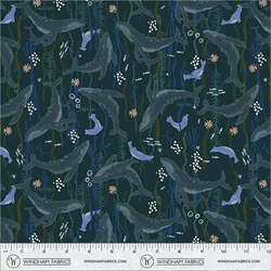 Headwaters in Navy
