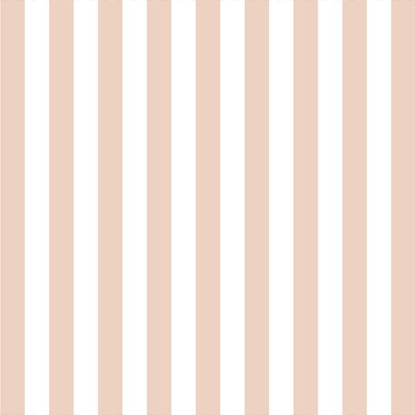 Candy Stripe in Shell