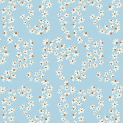 Daisy Fields in Clear Sky