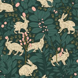 Large Hidden Hare in Glade