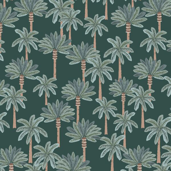Prehistoric Forest in Cycad