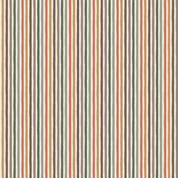 Little Stripe in Dreaming