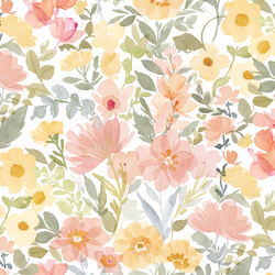 Large Afternoon Blooms in Peachy