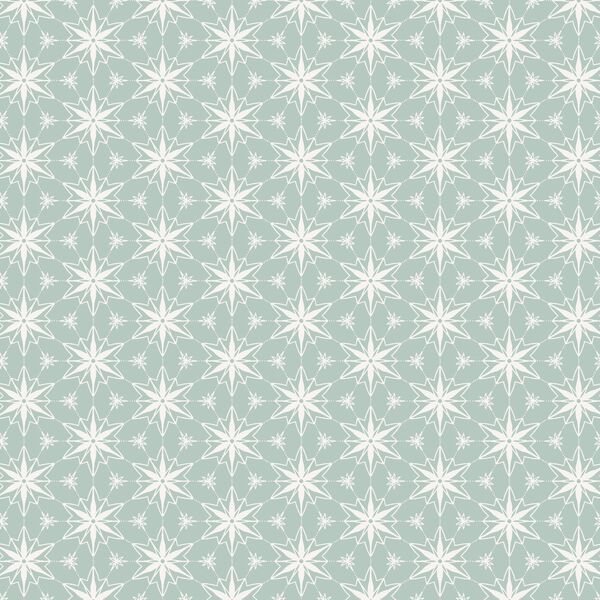 Ornament Stars in Ice