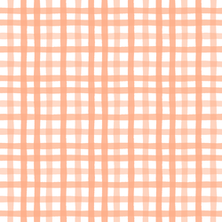 Gingham in Peachy