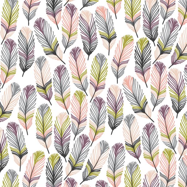 Feathers in Nocturne